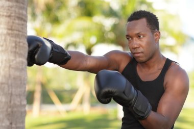 Image of a man punching the tree clipart