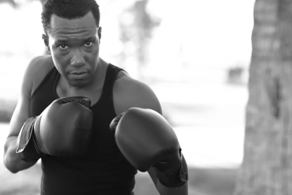 Stock image Man in a boxing stance