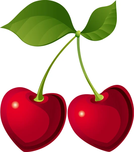 Lovely cherry — Stock Vector