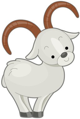 Dall Sheep clipart