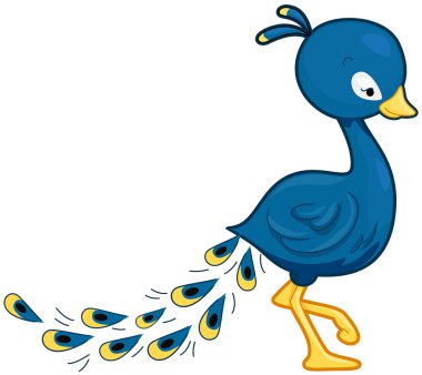 Peacock clipart