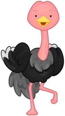 Ostrich clipart