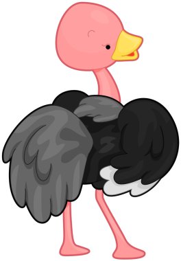 Ostrich clipart