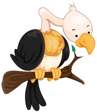 Vulture clipart