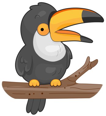 Toucan clipart