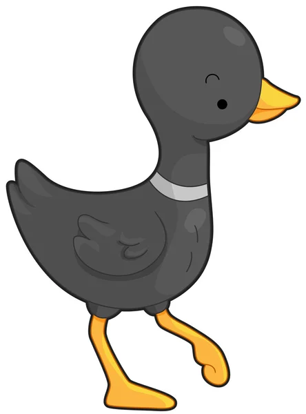Duck — Stock Vector