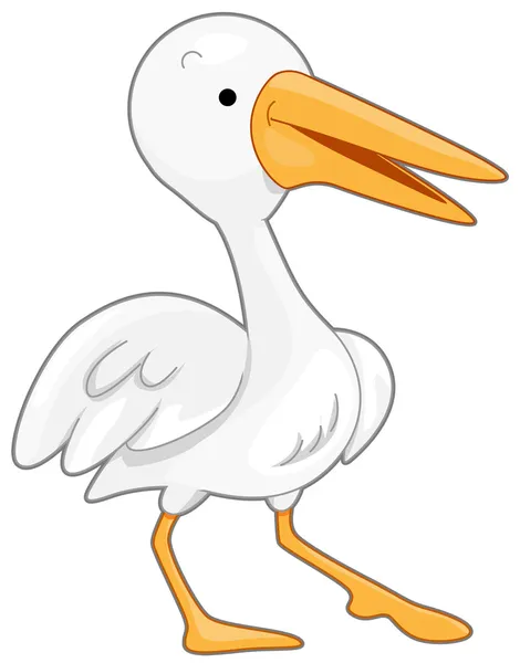 Pelicano — Vetor de Stock