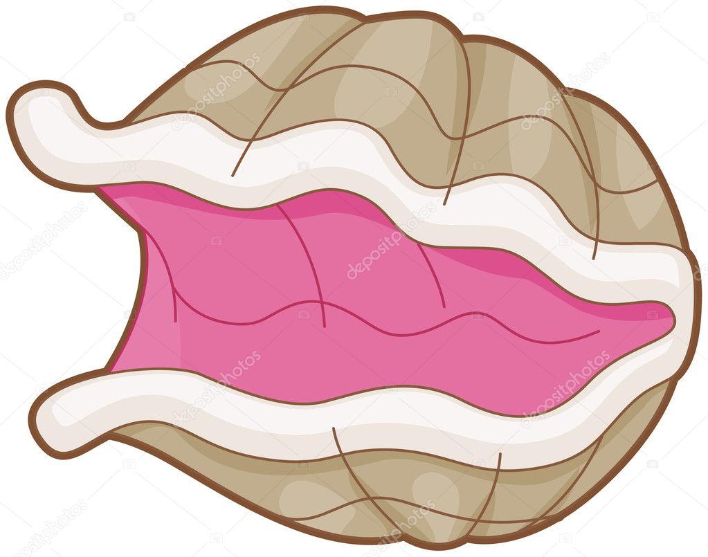oyster clip art free