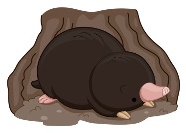 Cute Mole clipart