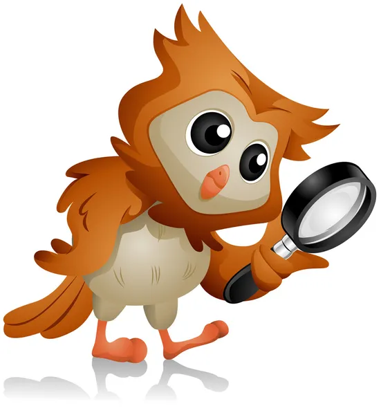 Owl Search — Stock Photo, Image