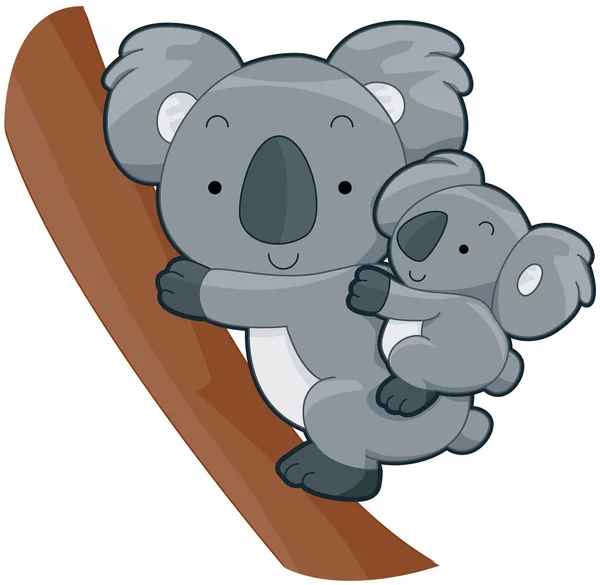 Cute Koala — Stock Photo, Image