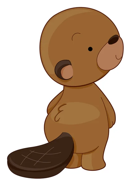 Cute Beaver — Stock Photo, Image
