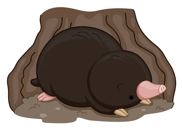 Χαριτωμένο mole — Φωτογραφία Αρχείου