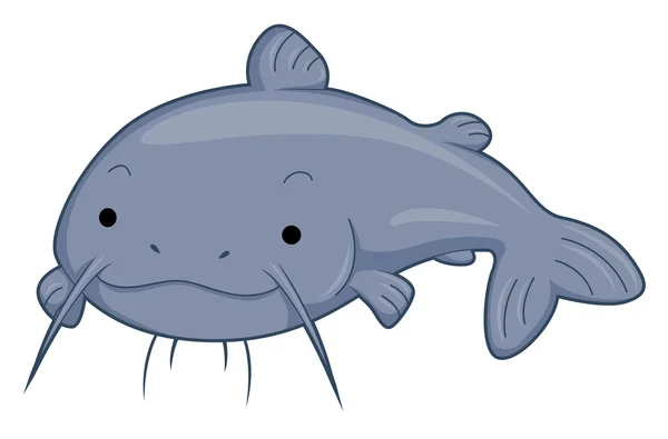 Cute Catfish — Stock Photo, Image