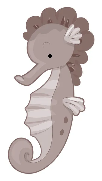 Cute Seahorse — Stock Photo, Image