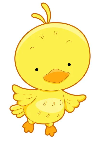 Aranyos sárga madár — Stock Fotó