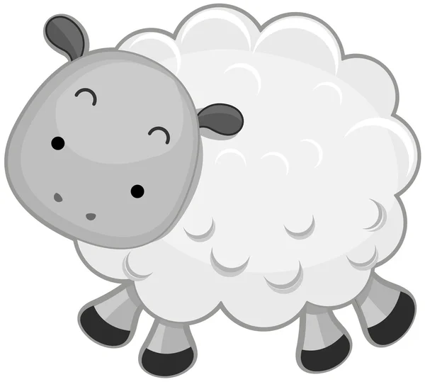 Słodkie owce — Zdjęcie stockowe