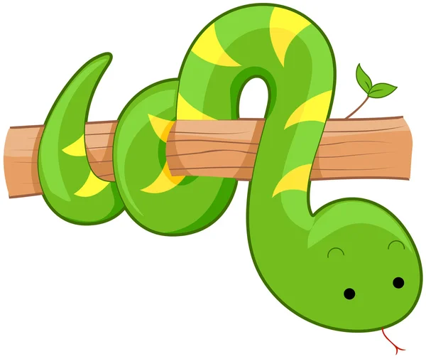 Serpente carino — Foto Stock