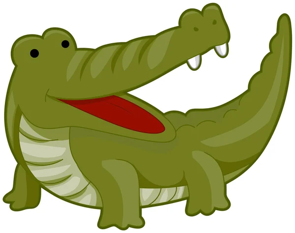 Krokodyla — Zdjęcie stockowe