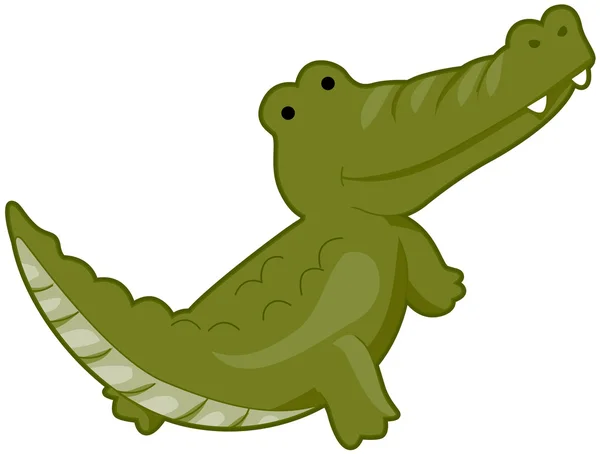 Roztomilý krokodýl — Stock fotografie