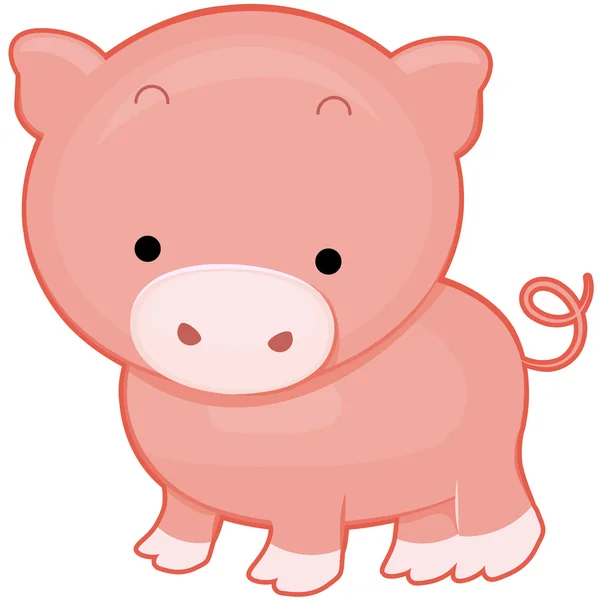 Porco bonito — Fotografia de Stock