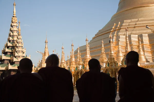 Schwedagon パゴダで祈っている修道士 — ストック写真