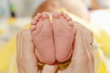 Newborn feet in the mather's hands clipart