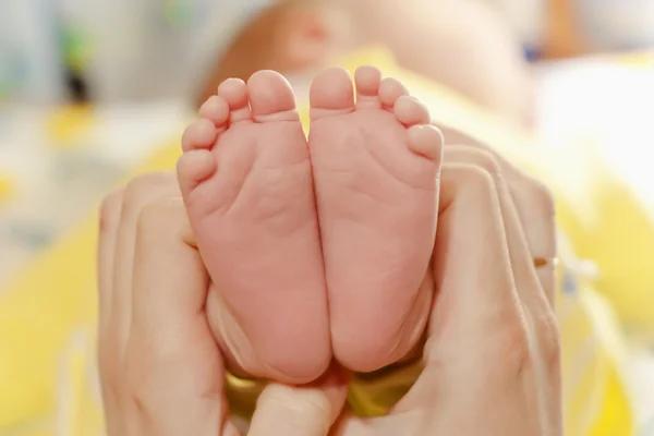 Neugeborene Füße in den Händen des Mathers — Stockfoto