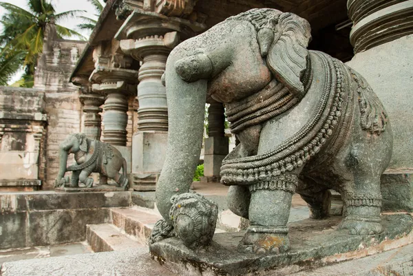 Індійський слон — стокове фото