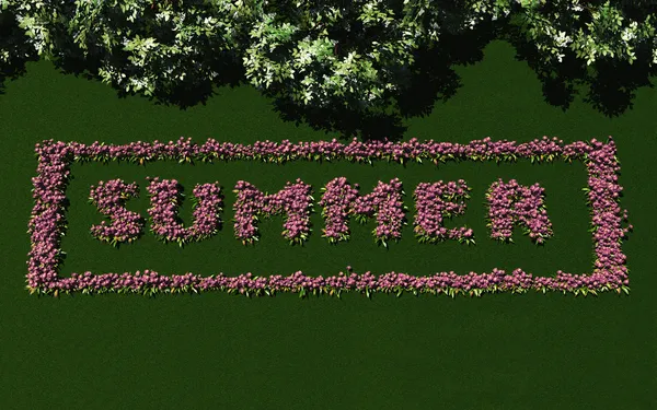 Слово "лето" написано цветами . — стоковое фото