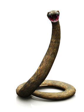 Rattlesnake ready to strike clipart