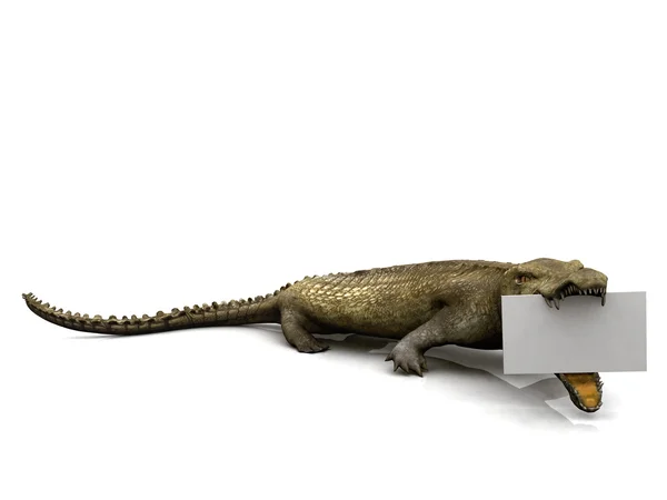 Crocodile with sign — Stock Photo, Image