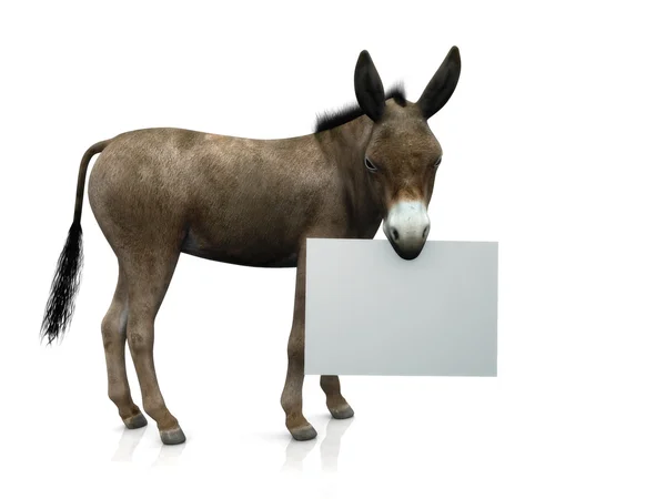 Donkey anläggning tecken — Stockfoto