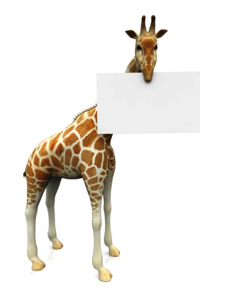 Giraffe with sign — Stockfoto
