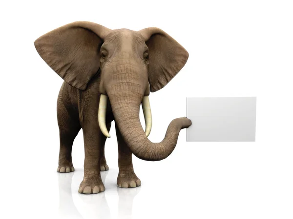 Elefante con signo —  Fotos de Stock