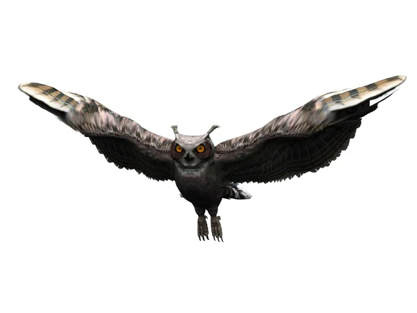 Летающая сова — стоковое фото