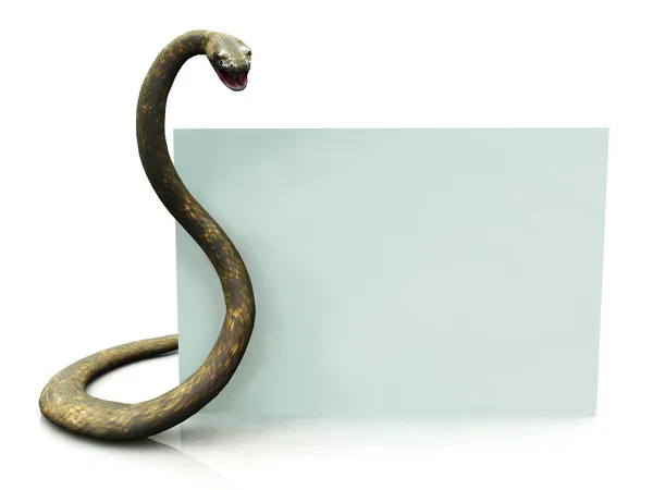 Rattlesnake with blank sign — Stock Photo, Image