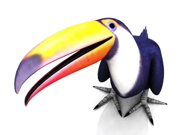 Ptak Tukan — Zdjęcie stockowe