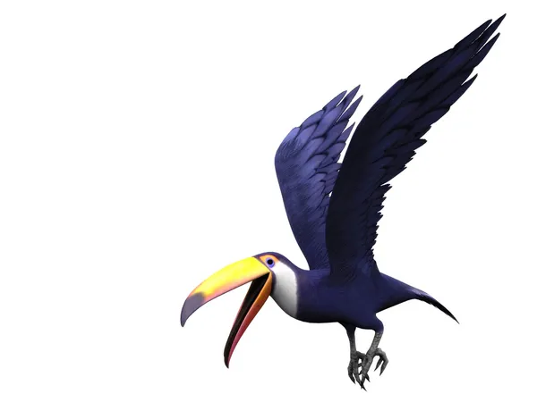 Latający ptak Tukan — Zdjęcie stockowe