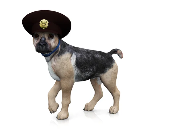 stock image Police dog