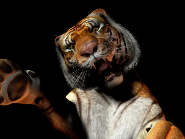 Close-up van tijger aanval — Stockfoto