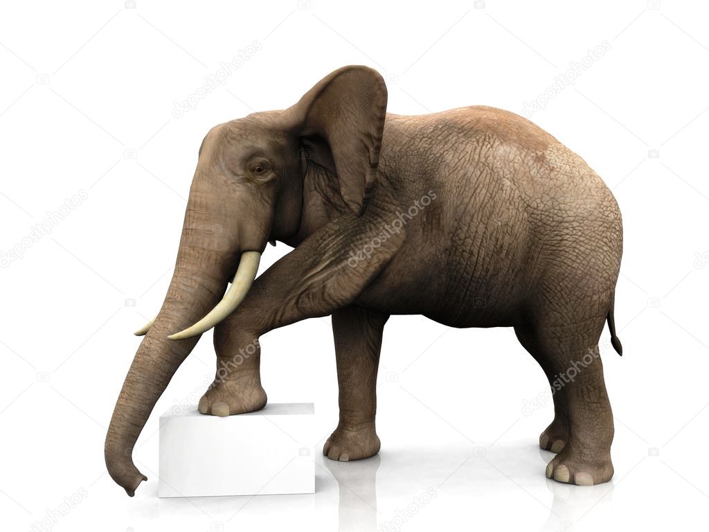 Elephant with sign