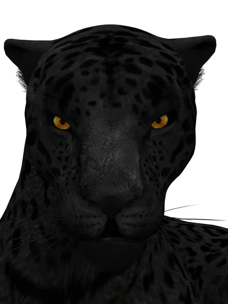 Zwarte jaguar geïsoleerd op wit. — Stockfoto
