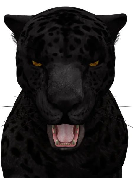 Svart rytande jaguar isolerad på vit. — Stockfoto