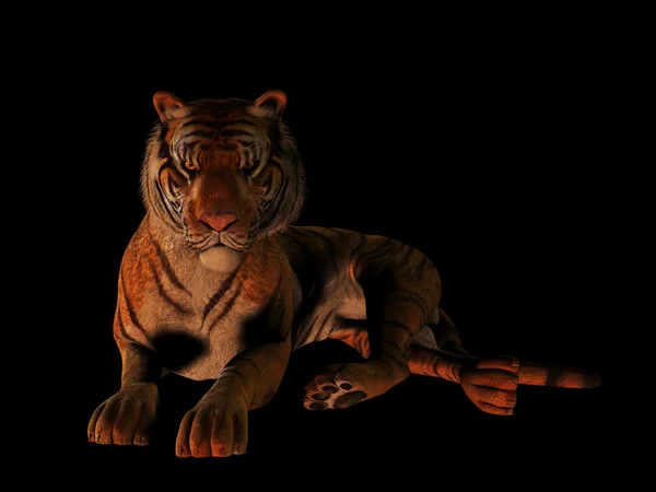 Tigre mentiroso isolado em preto . — Fotografia de Stock