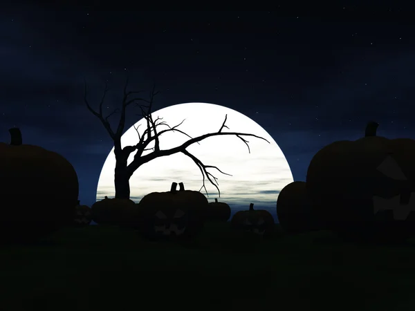 Garden filled with halloween pumpkins at night. — Stock Photo, Image