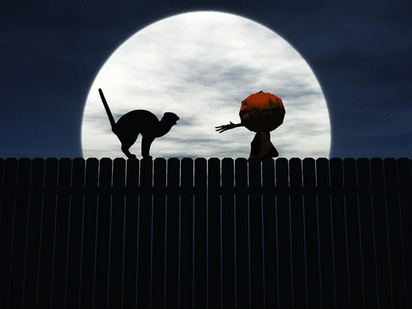 Halloween pumpa försöker fånga arg katt. — Stockfoto