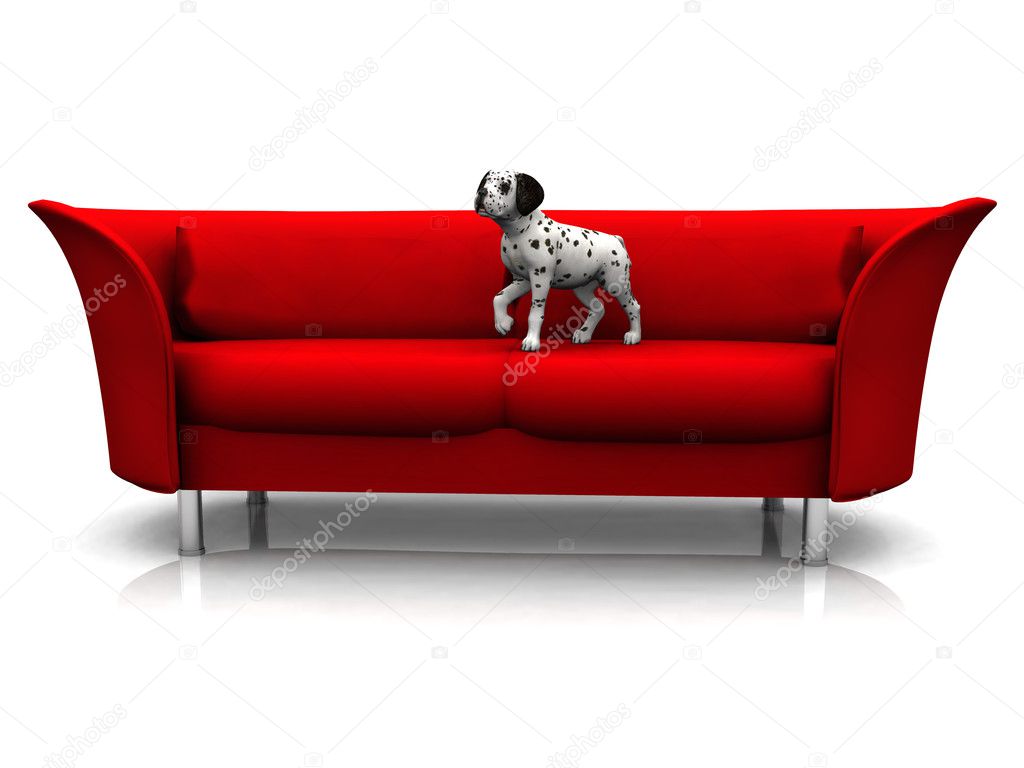 Dalmatian puppy in sofa