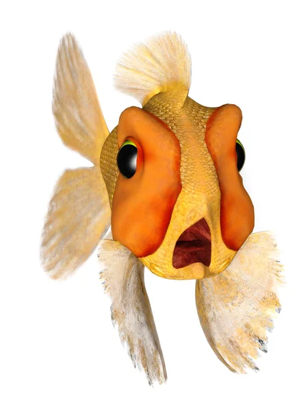 Dehşete goldfish — Stok fotoğraf