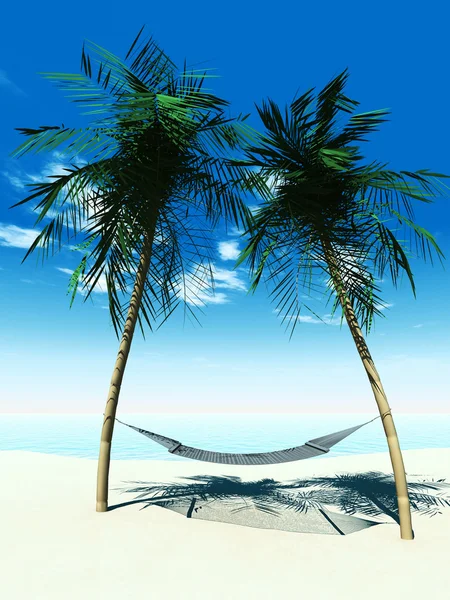 Hangmat tussen palmbomen — Stockfoto